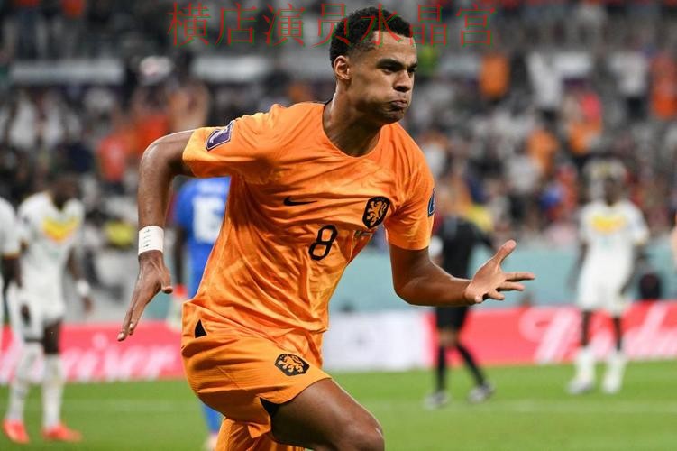 世界杯投注平台荷兰比赛盘口变化怎么读 世界杯投注平台荷兰比赛盘口变化怎么读