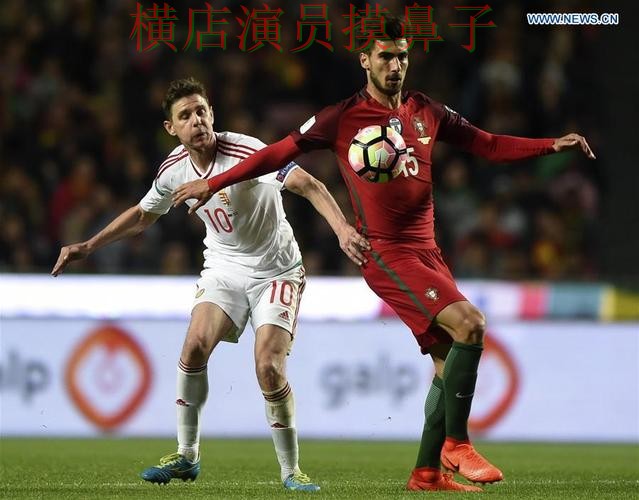 FIFA World Cup 2026期间热门世界杯投注平台精选与直播入口分析